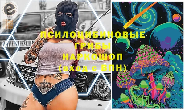 PSILOCYBIN Волоколамск