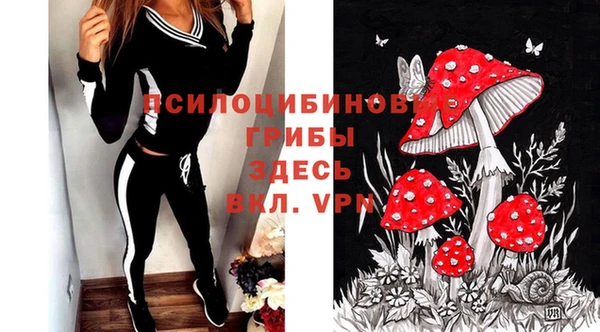 тгк Володарск