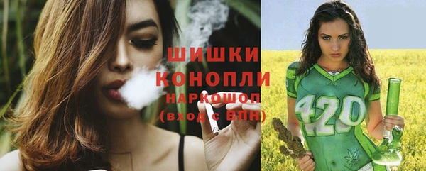тгк Володарск