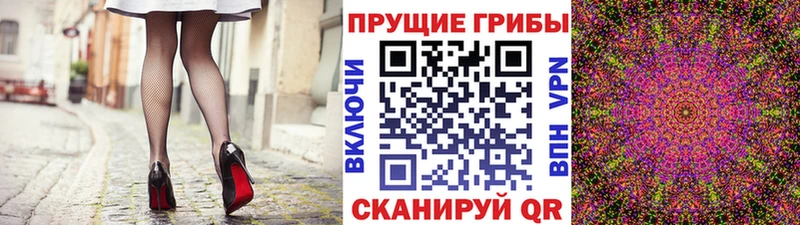 Псилоцибиновые грибы Psilocybe  купить  сайты  Норильск 
