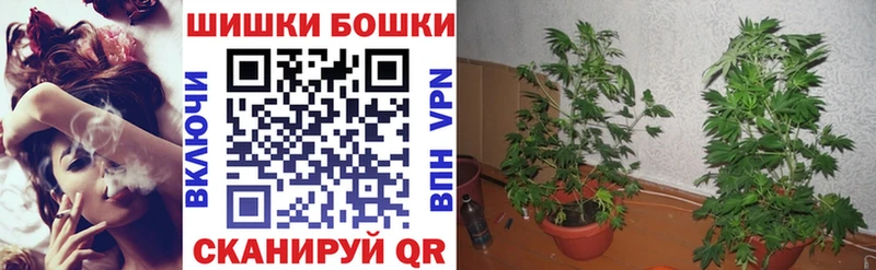 Канабис SATIVA & INDICA  Норильск 